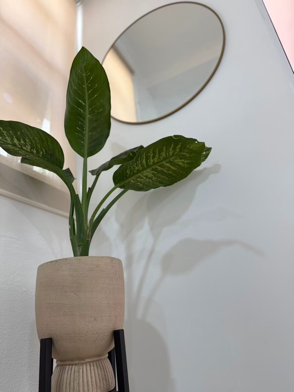 Detalle de decoración de la clínica